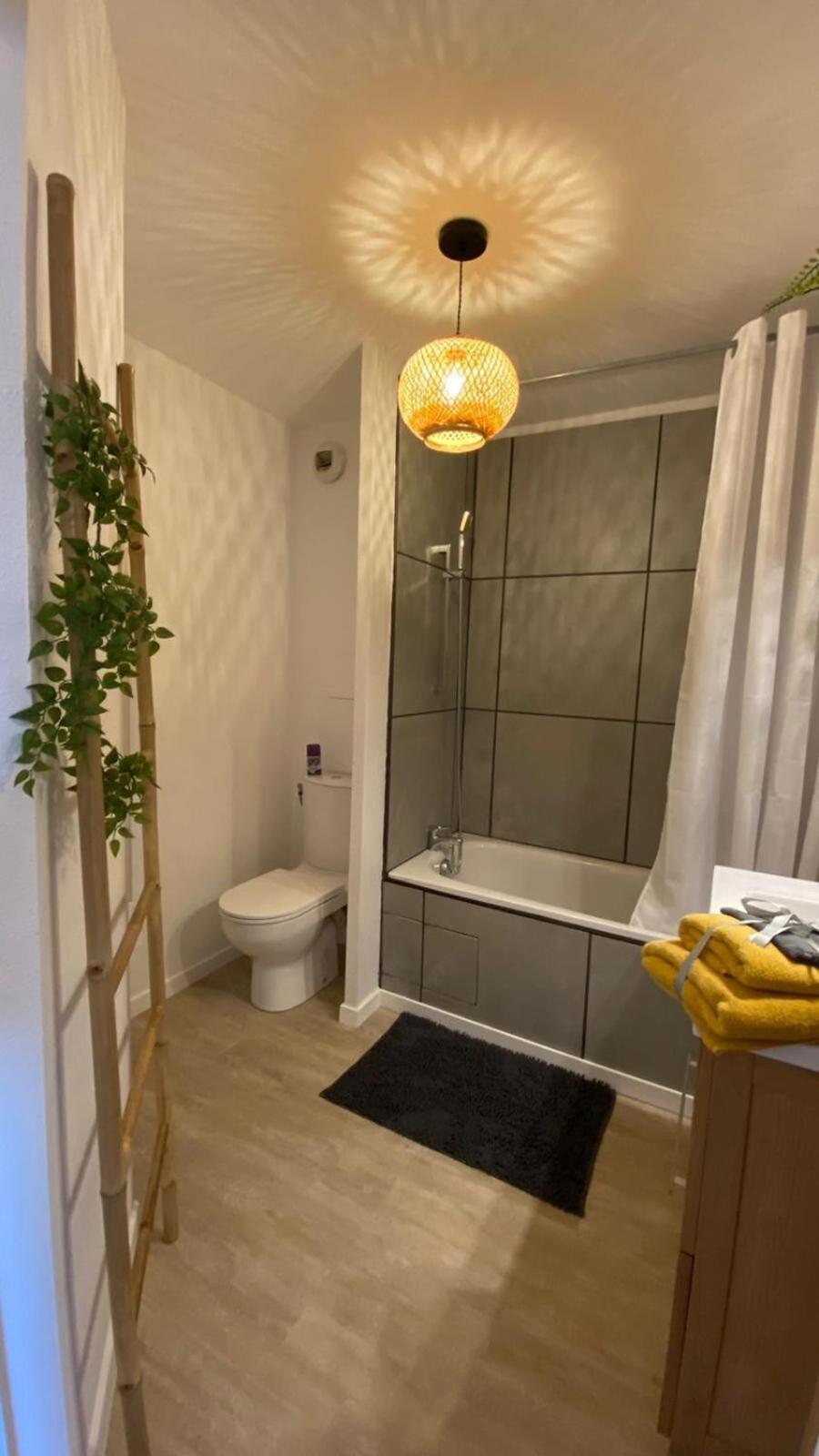 Apartament Le Sporting Land - Avec Entree Autonome, Parking Prive & Sa Piscine ! - Gaillac Zewnętrze zdjęcie