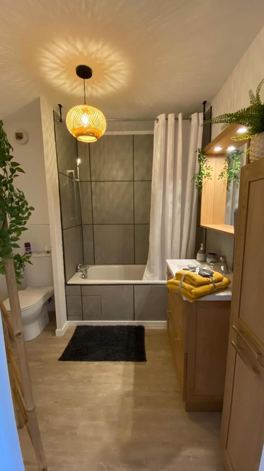 Apartament Le Sporting Land - Avec Entree Autonome, Parking Prive & Sa Piscine ! - Gaillac Zewnętrze zdjęcie