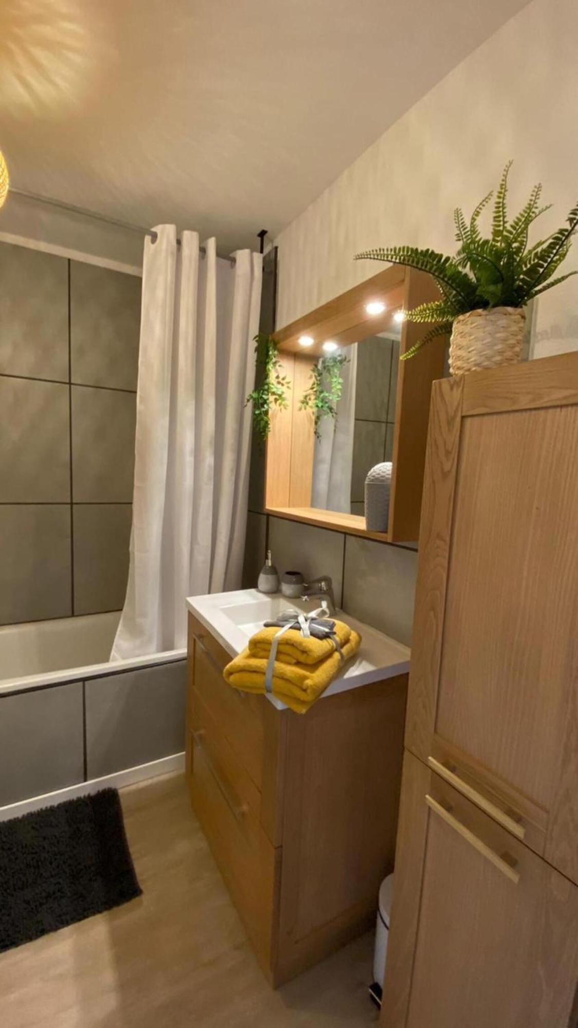 Apartament Le Sporting Land - Avec Entree Autonome, Parking Prive & Sa Piscine ! - Gaillac Zewnętrze zdjęcie
