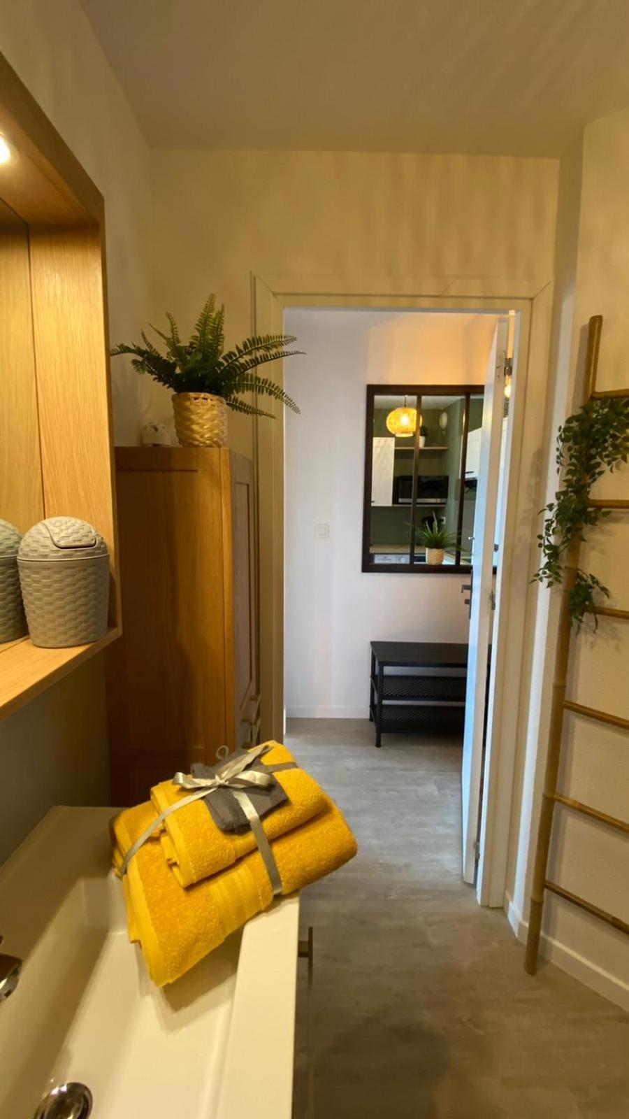 Apartament Le Sporting Land - Avec Entree Autonome, Parking Prive & Sa Piscine ! - Gaillac Zewnętrze zdjęcie